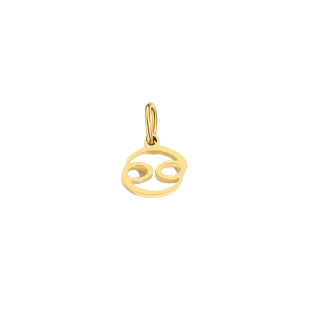 Zodiac Charm