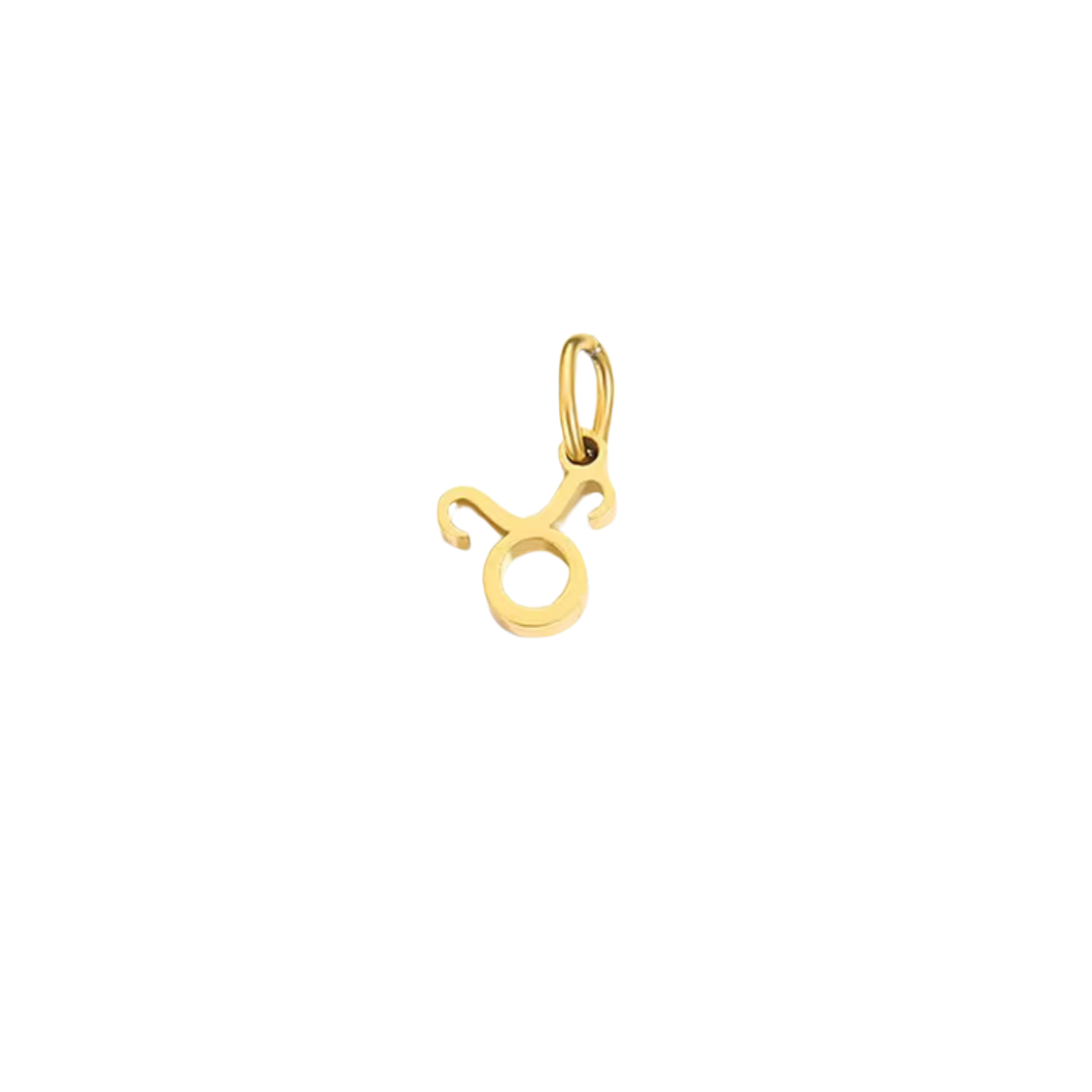 Zodiac Charm