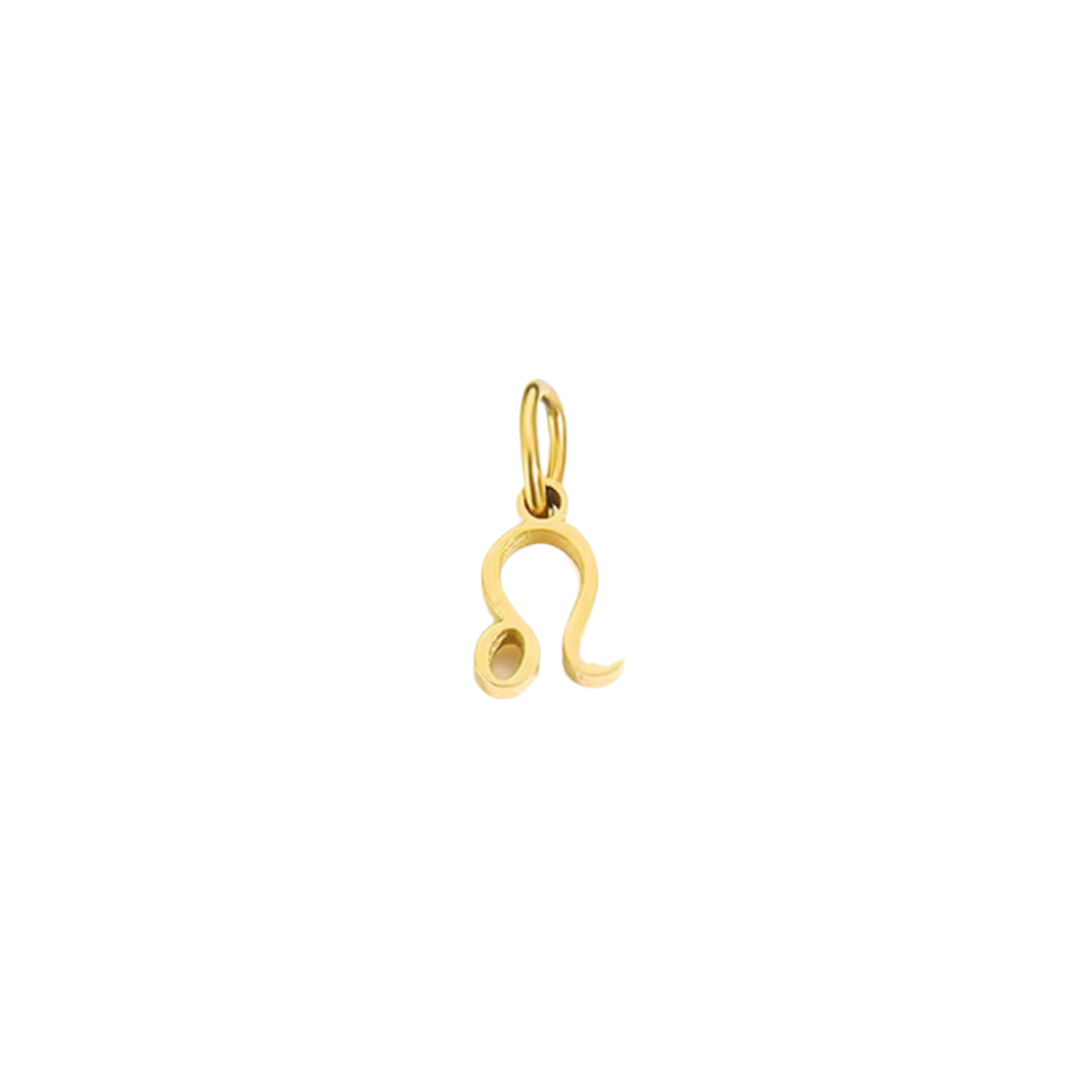 Zodiac Charm