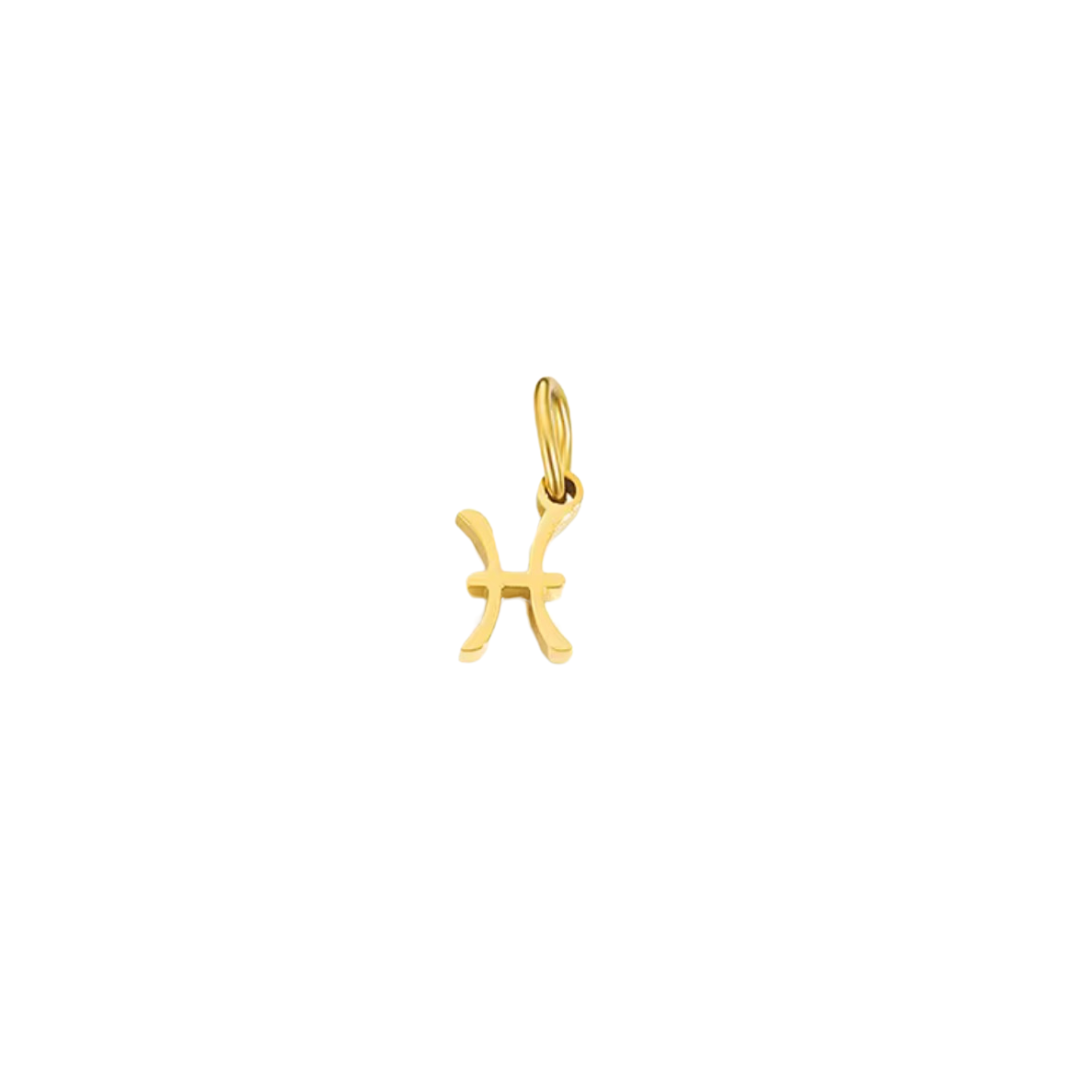 Zodiac Charm