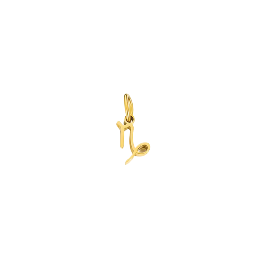 Zodiac Charm