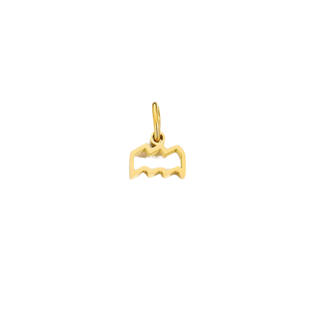 Zodiac Charm