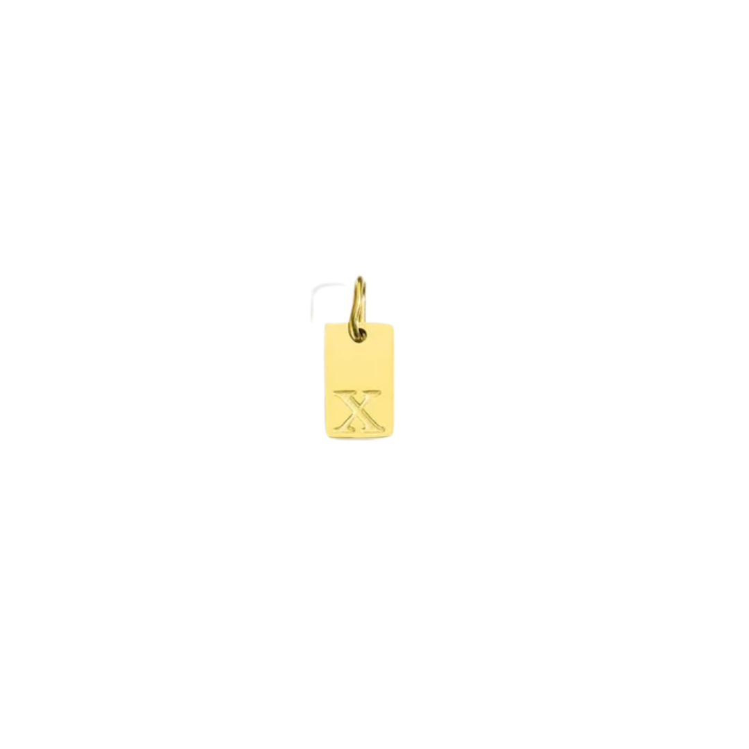 Initial Charm