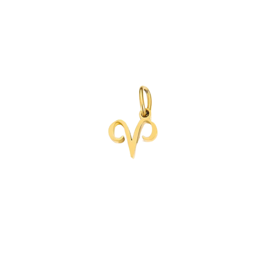 Zodiac Charm